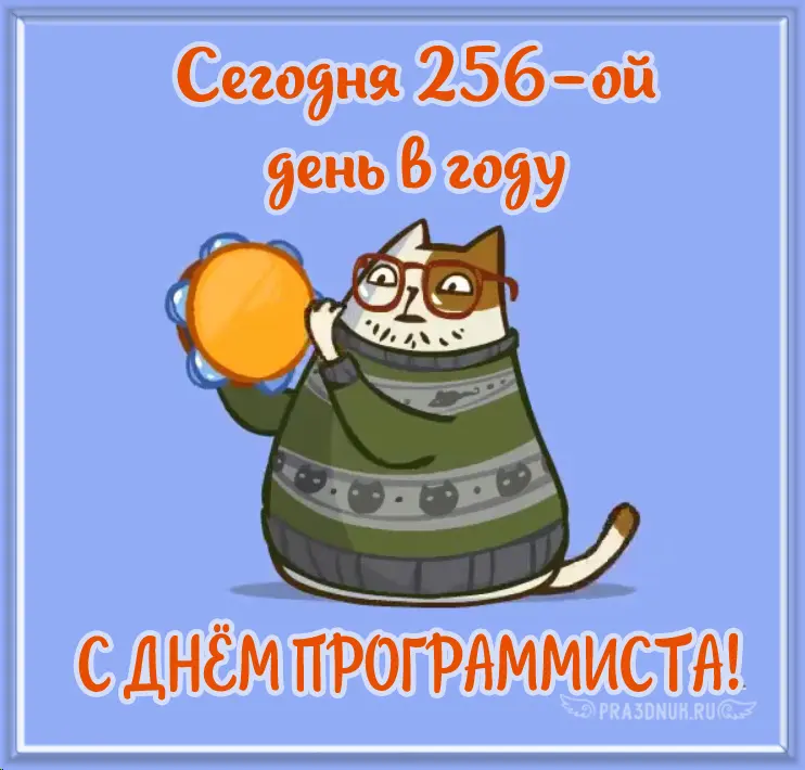 программист котик