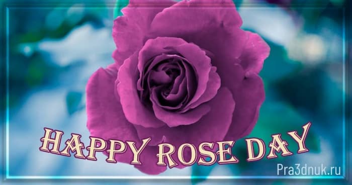 Happy rose day