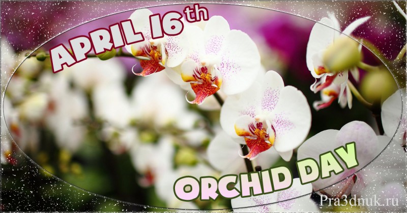 Orhid day april 16th