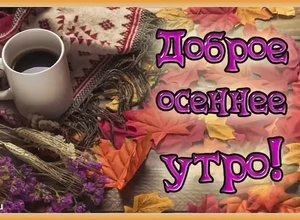 утро осень