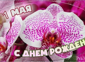 рожден 1 мая