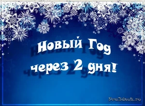 2 дня и новый год