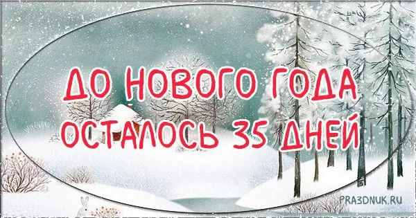 35 дней до Нового года