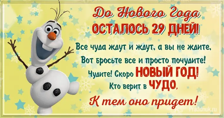 29 дней до НГ